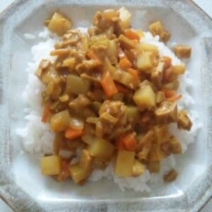 油なし! 肉なし! 高野豆腐のヘルシードライカレー